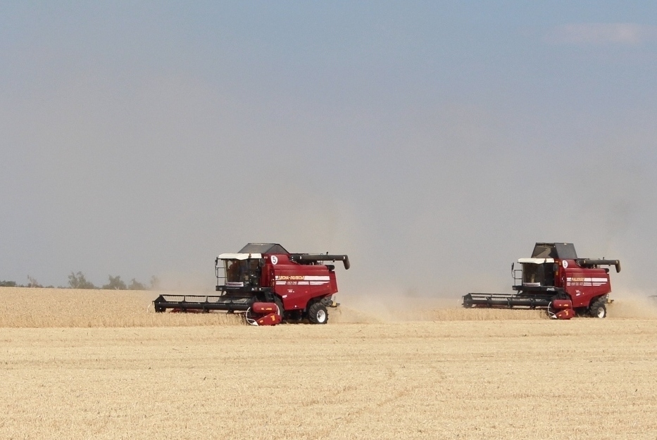 Harvest 2025. Harvesting has started at the farms of the agro-technological holding «Bizon»