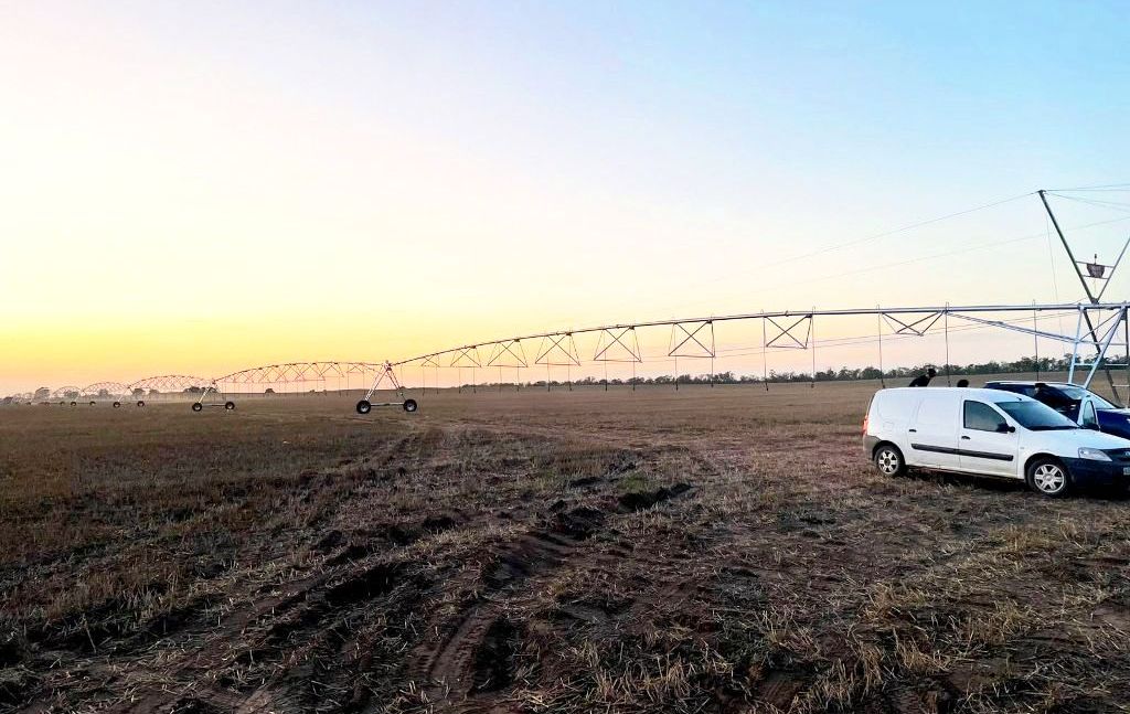 In the Chechen Republic, we are implementing a project to irrigate agricultural land covering over 1,000 hectares