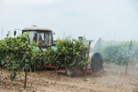 Демопоказ техники для виноградарства в «Фанагории»