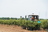 Демопоказ техники для виноградарства в «Фанагории»